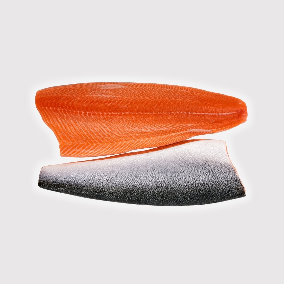 Tasmanian Salmon